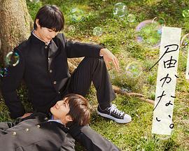 成人无码视频在线观看